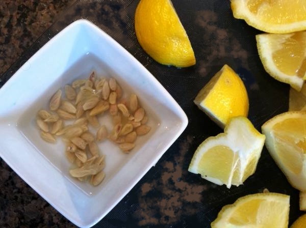Можно ли вырастить лимон из косточки