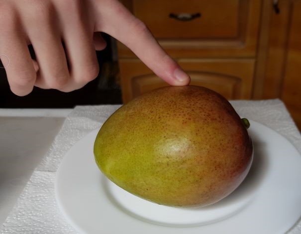 Выбор манго для посадки косточкой