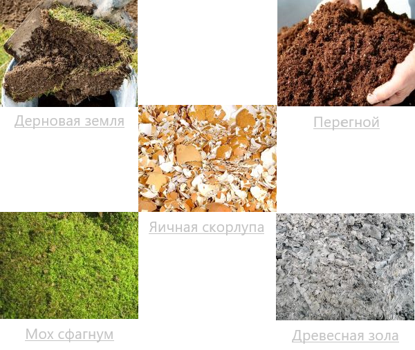 Органические компоненты для приготовления почвосмеси для рассады