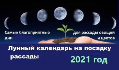Лунный календарь посадки и ухода за рассадой в 2021