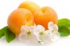 Почему не плодоносит абрикос 